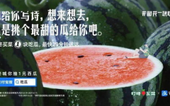 娱乐圈的吃瓜文案,揭秘明星们的“瓜田”秘闻