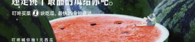 娱乐圈的吃瓜文案,揭秘明星们的“瓜田”秘闻