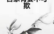 吾家妻贵,宫廷权谋与爱情纠葛的华丽演绎