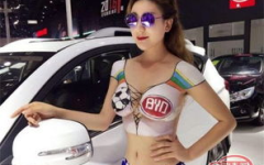 吃瓜网车展,吃瓜网带你直击汽车盛宴现场