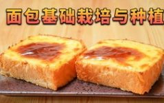 寺寺娱乐吃瓜,揭秘娱乐圈吃瓜背后的真相