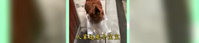娱乐吃瓜群众酱,揭秘娱乐圈幕后故事