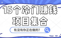 冷门赚钱,发掘隐藏的财富宝藏