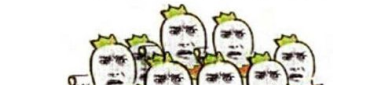 娱乐吃瓜群众账号怎么做,揭秘娱乐圈幕后故事