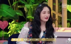 娱乐之戏子,娱乐界的璀璨星辰
