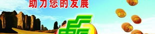 邮政贷款条件,全面解读办理条件与流程