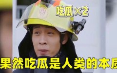 娱乐吃瓜的本质是啥啊,一场全民参与的狂欢盛宴