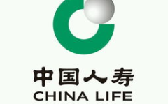 华夏人寿保险公司,创新驱动，稳健发展的全国性股份制寿险巨头