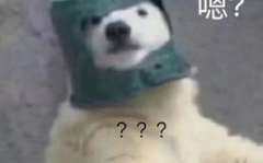 羊了个羊娱乐吃瓜,娱乐吃瓜，揭秘网络爆款游戏背后的故事
